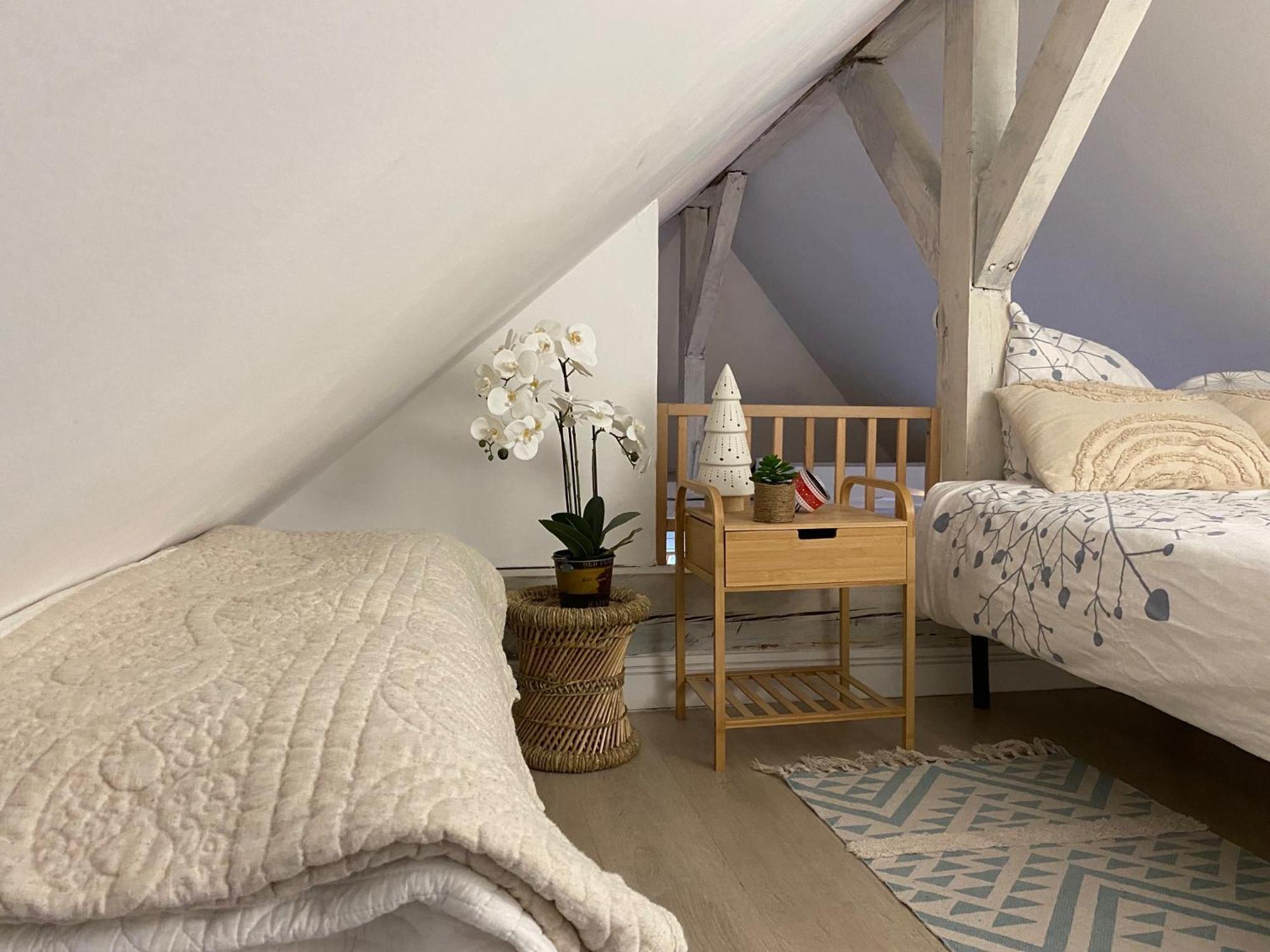 Duplex Spacieux Tout Confort Мюлуз Екстериор снимка
