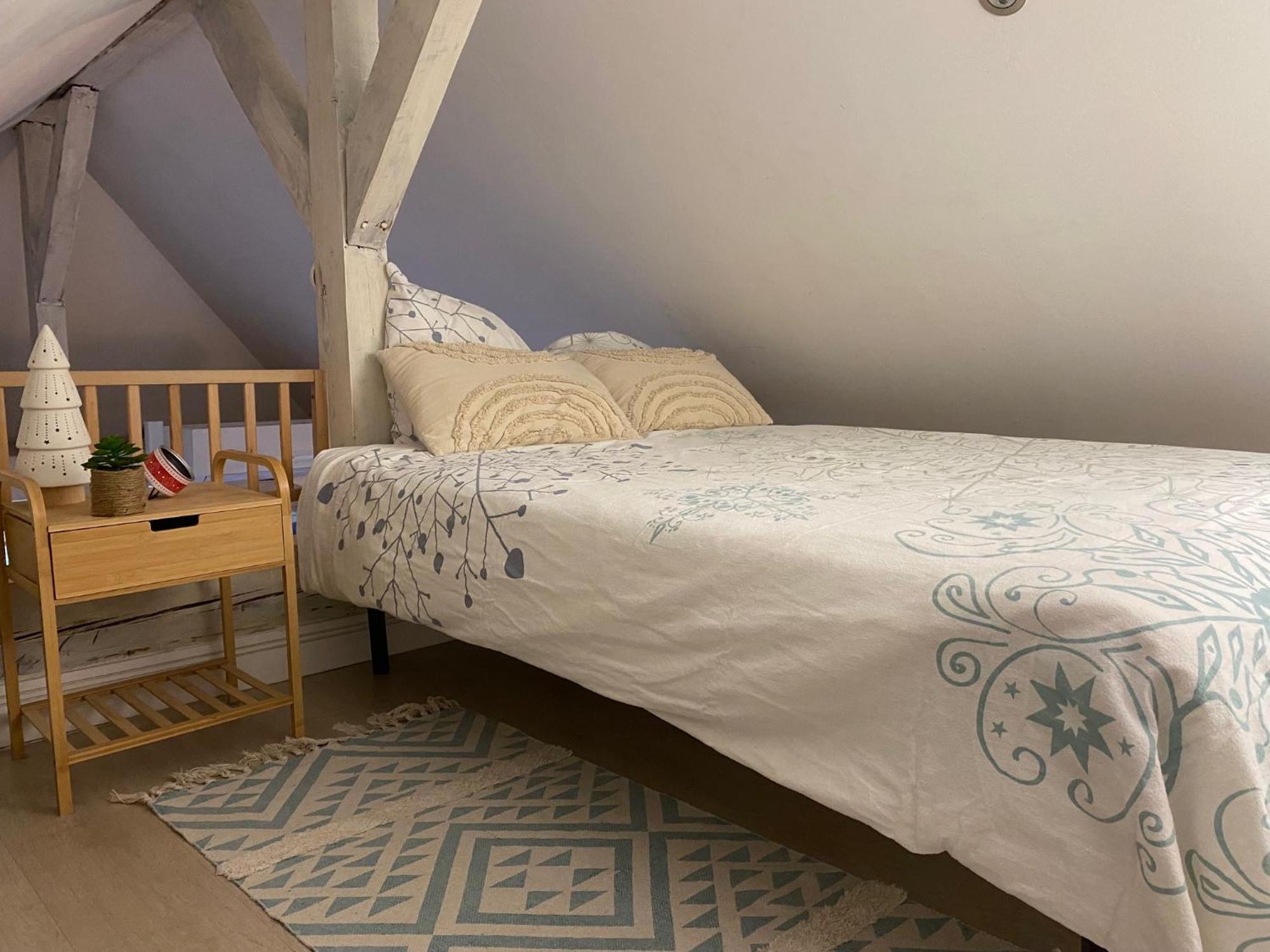 Duplex Spacieux Tout Confort Мюлуз Екстериор снимка